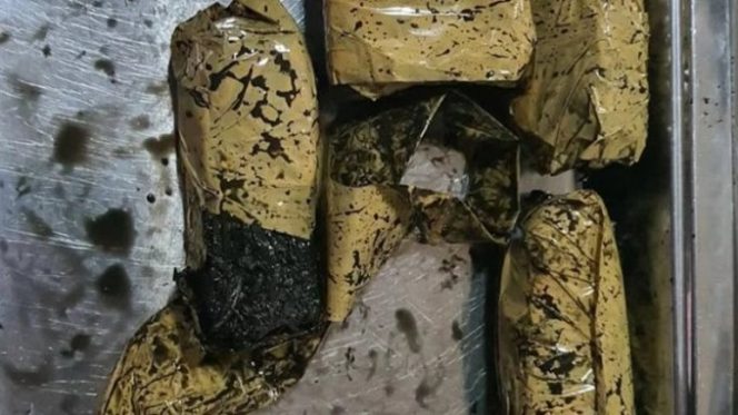 
					Barang bukti ganja yang dikemas sotong untuk diselundupkan ke Lapas Rajabasa, Bandarlampung (Antara)