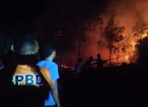 BPBD Ungkap Seluruh Data Karhutla di Kampar Riau, Ada Puluhan Hektar Lahan Terbakar