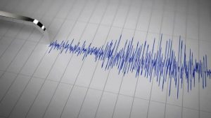 Kepulauan Selayar Diguncang Gempa magnitudo 5,2, Tidak Berpotensi Tsunami