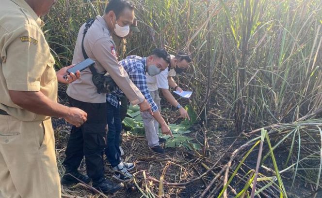 
					Polisi olah TKP di lahan tebu yang menewaskan warga akbat terbakar. (Internet)