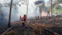 Lebih Dari Dua Hektar Lahan Milik Warga di Kampar Hangus Terbakar
