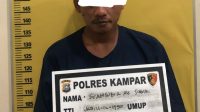 Kasus Pencurian, Warga Desa Salo Kampar Ditangkap Polisi, Ada yang Masih DPO