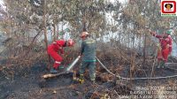 Petugas Manggala Agni dan TNI Berjibaku Padamkan Kebakaran Lahan di Kampar Riau