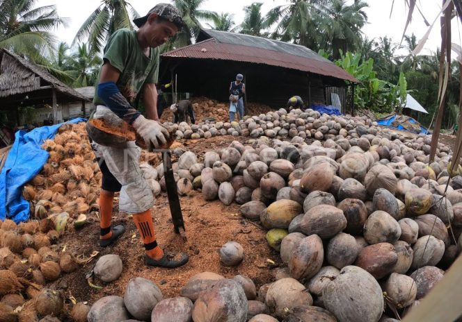 
					Berikut Harga Komoditi Perkebunan di Riau Terbaru, 21 Februari 2024