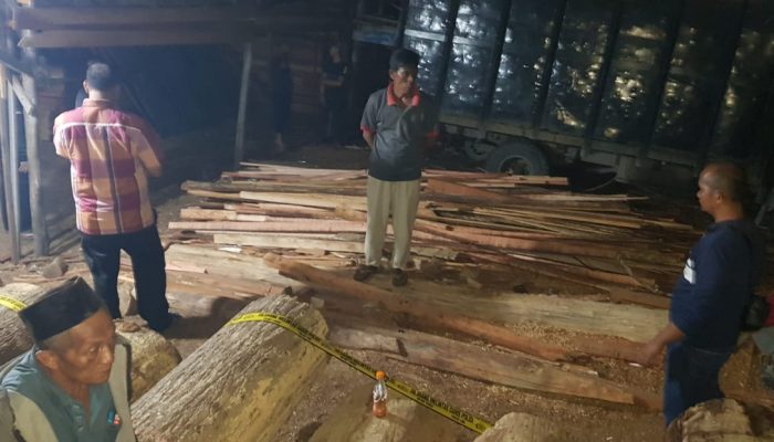 Polres Klaim Ungkap Kasus Ilegal Logging Sawmill Terbesar di Kampar, 5 Pekerja Diamankan Sedangkan Pemilik Masih Dikejar
