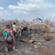 37 Hektare Lahan di Rohil Terbakar, Petugas Gabungan Berjibaku Padamkan Api