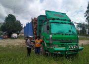 Nekat Bawa Kayu Akasia 14 Ton saat Lebaran, Polisi Tilang Sopir Truk