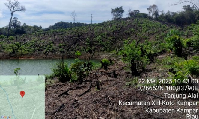 
					Titik lokasi perambahan kawasan konservasi di Danau PLTA Koto Panjang. (Foto: Istimewa)
