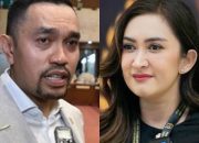 NasDem Minta DPR Setop Gaji-Tunjangan Ahmad Sahroni dan Nafa Urbach
