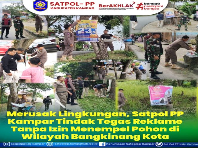 
					Satpol PP Kampar Bongkar Reklame Ilegal yang Dipaku di Pohon