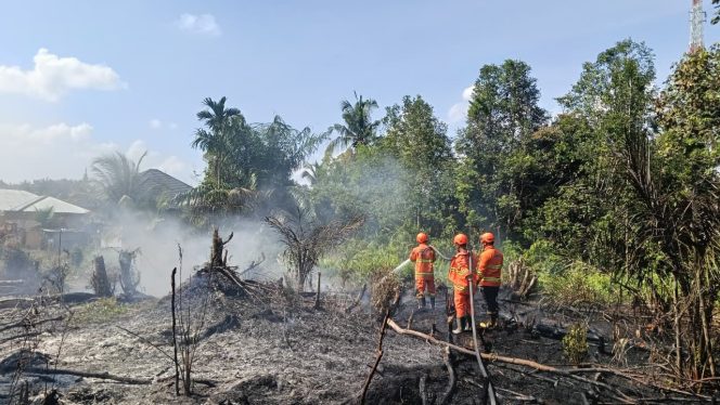 
					Kebakaran Lahan Kosong Terjadi di Kecamatan Salo Kampar, Berhasil Dipadamkan