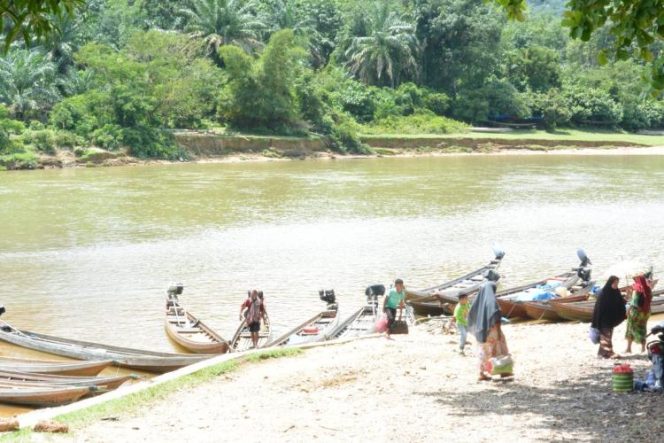 
					BPBD Riau: Sungai Subayang Kampar Kiri Masuki Level Awas