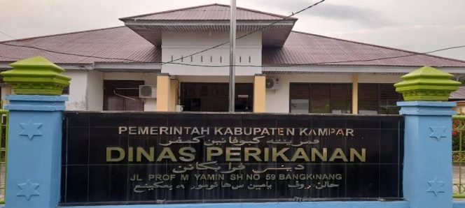 
					Produksi Ikan Kampar Tembus 72 Ton per Hari