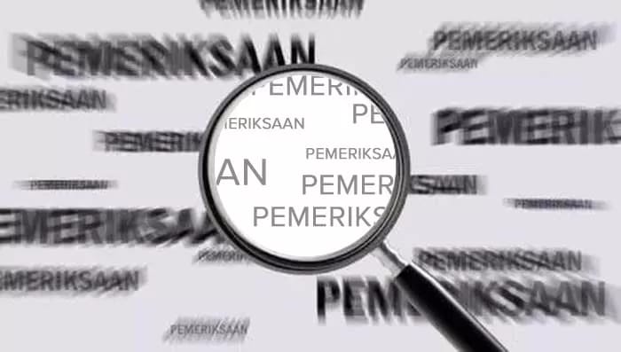 Diam-Diam Penyidik Kejaksaan Periksa Pihak Inspektorat Kampar Kasus Dugaan Manipulasi Penyetoran LHP
